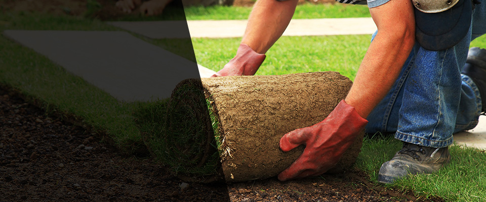 Sterling Heights Landscapers